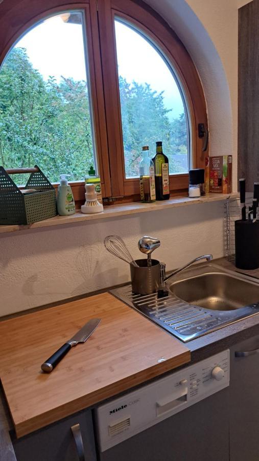 Gemuetliche Waldrandlage In Badenweiler Sehringen Ferienwohnung Esterno foto