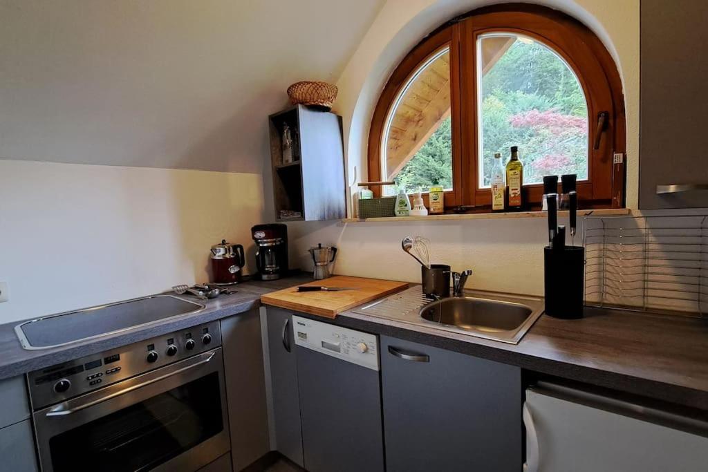 Gemuetliche Waldrandlage In Badenweiler Sehringen Ferienwohnung Esterno foto