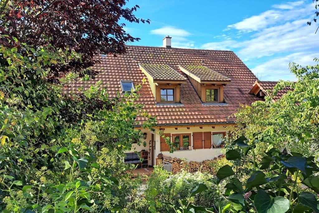 Gemuetliche Waldrandlage In Badenweiler Sehringen Ferienwohnung Esterno foto