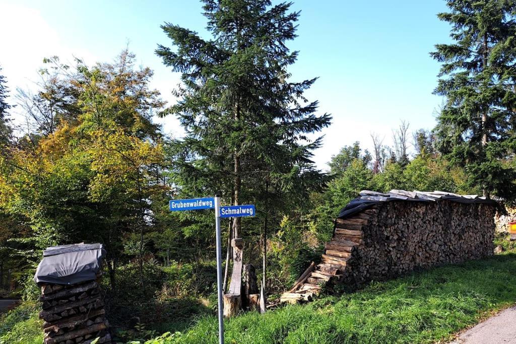 Gemuetliche Waldrandlage In Badenweiler Sehringen Ferienwohnung Esterno foto