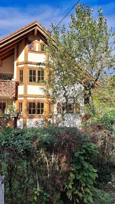 Gemuetliche Waldrandlage In Badenweiler Sehringen Ferienwohnung Esterno foto