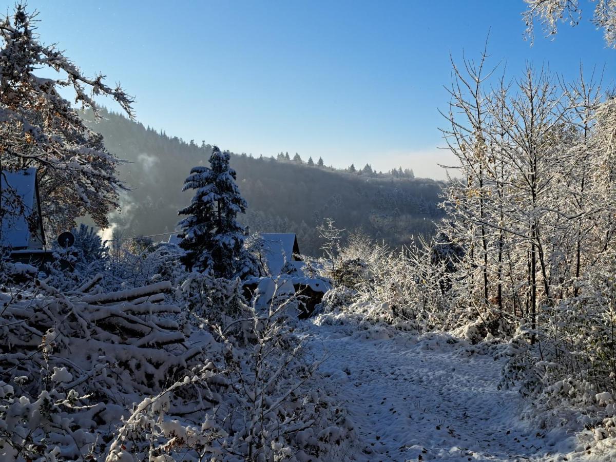 Gemuetliche Waldrandlage In Badenweiler Sehringen Ferienwohnung Esterno foto