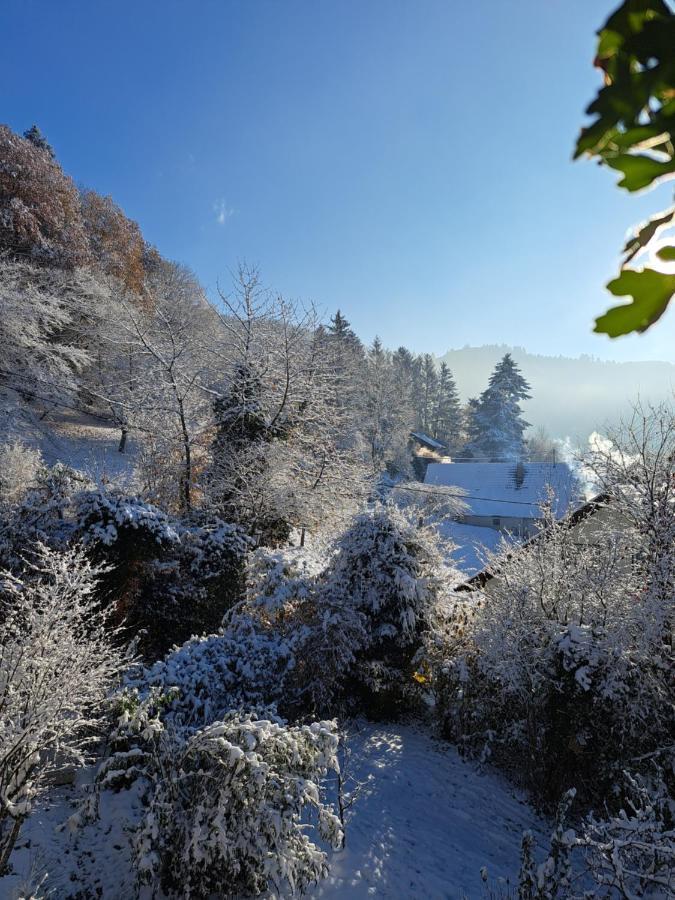 Gemuetliche Waldrandlage In Badenweiler Sehringen Ferienwohnung Esterno foto